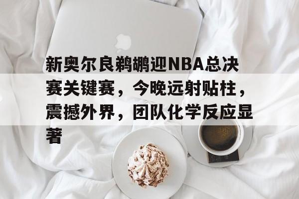 新奥尔良鹈鹕迎NBA总决赛关键赛，今晚远射贴柱，震撼外界，团队化学反应显著的简单介绍