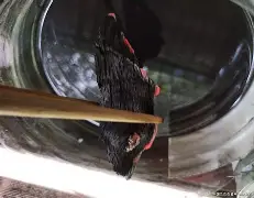 包含?4慔??搅@浀泷(的词条